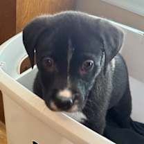 Thumbnail photo of Selena Lou  #2