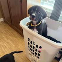 Thumbnail photo of Selena Lou  #3