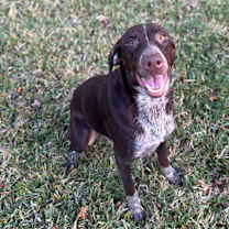 Thumbnail photo of Jameson #1