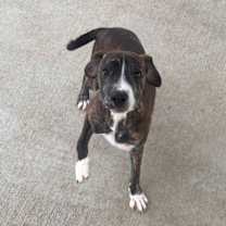 Thumbnail photo of Clark Carter #2