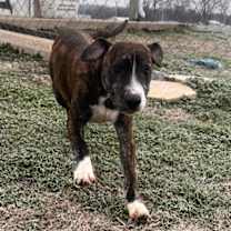 Thumbnail photo of Clark Carter #3