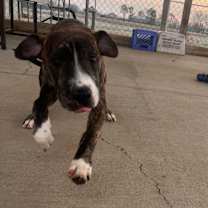 Thumbnail photo of Clark Carter #4