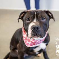 Thumbnail photo of Lucas Sinclair #2