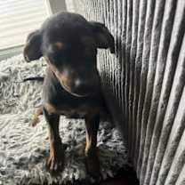 Thumbnail photo of Flower #2