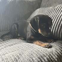 Thumbnail photo of Flower #3