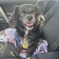 Thumbnail photo of Garnet #1