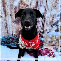 Thumbnail photo of Zeena #1