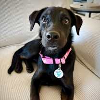 Thumbnail photo of Zeena #2