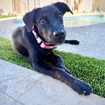 Thumbnail photo of Zeena #3