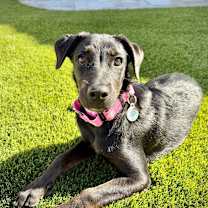 Thumbnail photo of Zeena #4