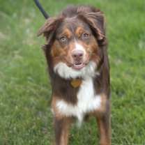 Thumbnail photo of AUBREY #1