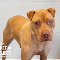 Thumbnail photo of Raisin #1