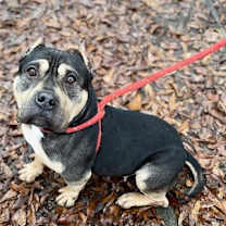 Thumbnail photo of Queen #1