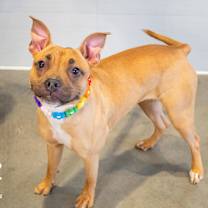 Thumbnail photo of Prairie #3