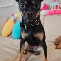 Thumbnail photo of Nina #1