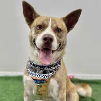 Thumbnail photo of Legend #1