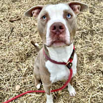 Thumbnail photo of Bastian #1