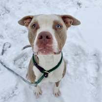 Thumbnail photo of Bastian #2