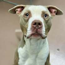 Thumbnail photo of Bastian #3