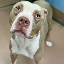 Thumbnail photo of Bastian #4