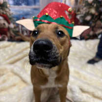 Thumbnail photo of Laverne #3