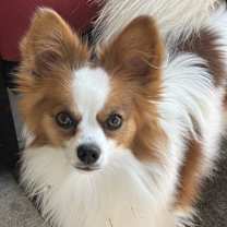 Thumbnail photo of Astro #1