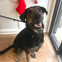 Thumbnail photo of Asher #3