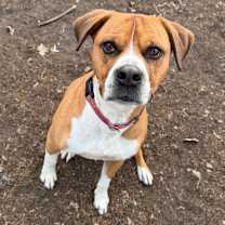 Thumbnail photo of Dinero #1