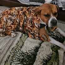 Thumbnail photo of Dinero #4