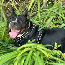 Thumbnail photo of Sister Girl #1