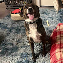 Thumbnail photo of Mae Mae #3