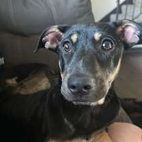 Thumbnail photo of Sun #1