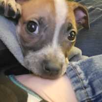 Thumbnail photo of Pat #3