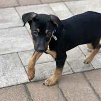 Thumbnail photo of Infinity #3