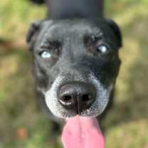 Thumbnail photo of Indy Anna Jones #2