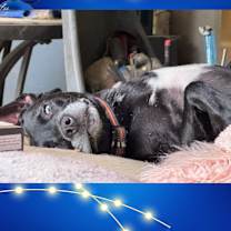 Thumbnail photo of Indy Anna Jones #3