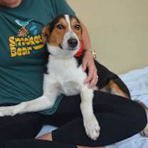 Thumbnail photo of Belinda #2