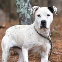 Thumbnail photo of Faith #4