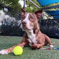 Thumbnail photo of Benyay #1