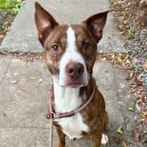 Thumbnail photo of Benyay #2