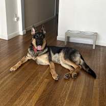 Thumbnail photo of Kobe #3