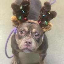 Thumbnail photo of Diamond #1