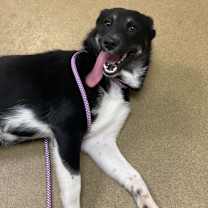 Thumbnail photo of Logan #2