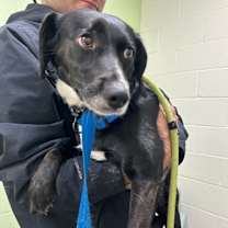 Thumbnail photo of Blair #2