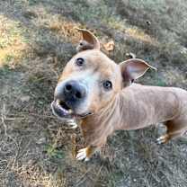 Thumbnail photo of Breezy 5441 #1