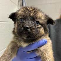 Thumbnail photo of Mina #4