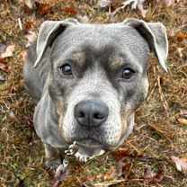 Thumbnail photo of Tootles #1