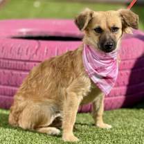 Thumbnail photo of Zelda #3