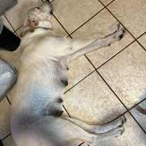 Thumbnail photo of Toasty #1