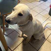 Thumbnail photo of Toasty #3